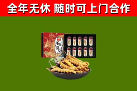 温县烟酒回收冬虫夏草礼盒.jpg